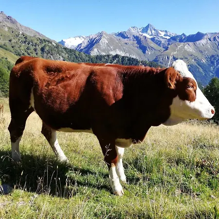 Wurlerhof 3* Kals-am Großglockner