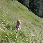 Guest house Wurlerhof 3*