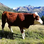 Wurlerhof 3* Kals am Grossglockner